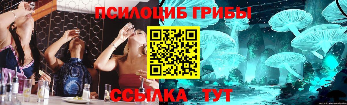 Галлюциногенные грибы прущие грибы Алапаевск